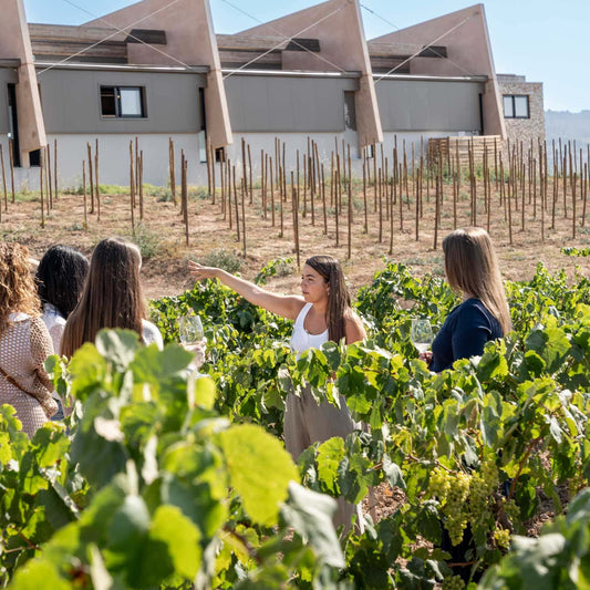 Wine Tourism Experience (for 2 people)